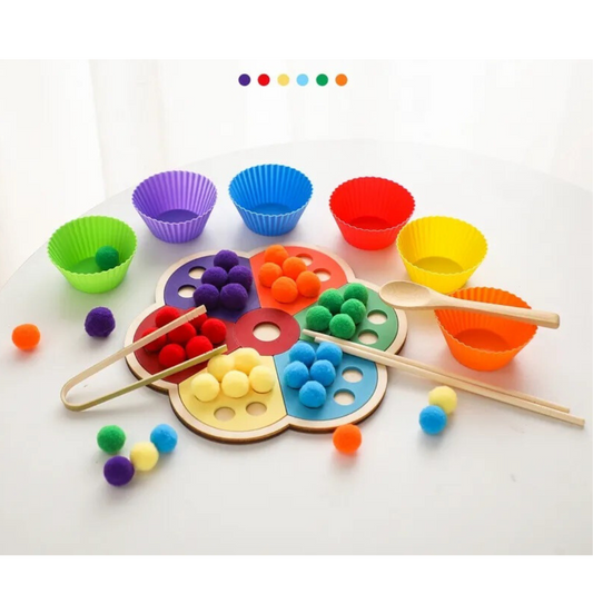 Montessori Flower Sorting Board