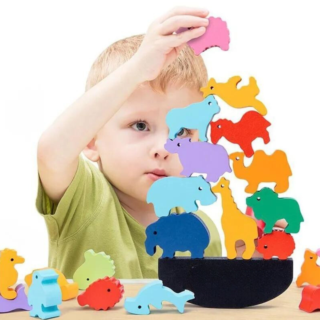 Wooden Balance Blocks